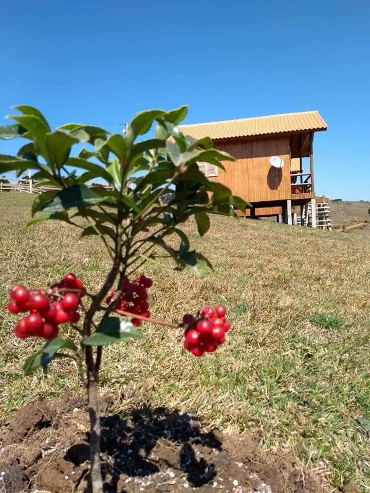 Paraiso Dos Canions Bom Jardim da Serra Εξωτερικό φωτογραφία